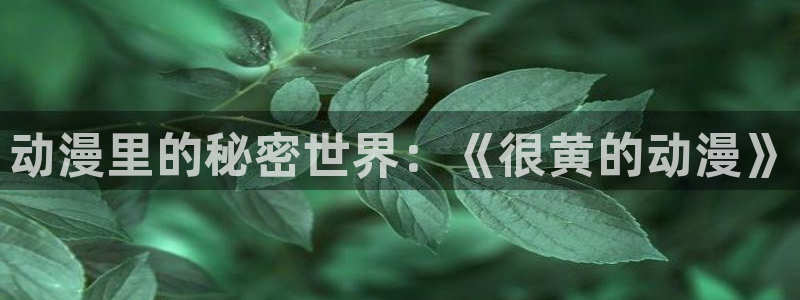 囧次元官网下载：动漫里的秘密世界：《很黄的动漫》
