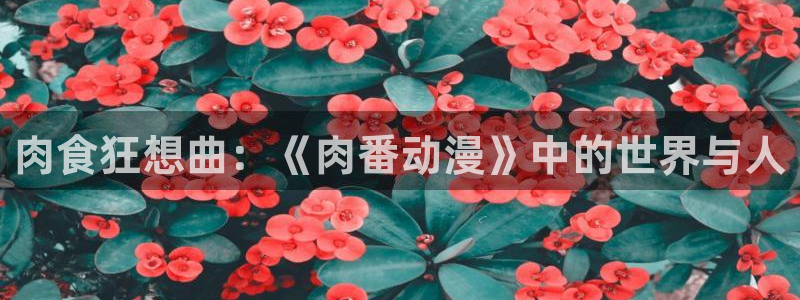 囧次元官方入口官网：肉食狂想曲：《肉番动漫》中的世界与人