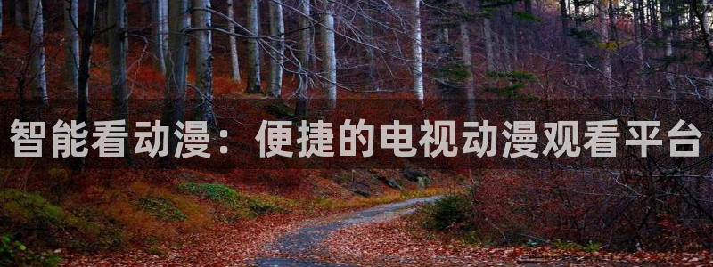 囧次元官方正版app下载最新版本