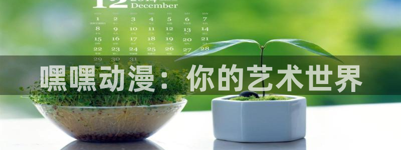 囧次元网页版入口网址