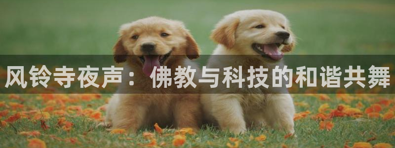 囧次元免费下载官方正版