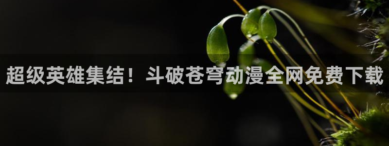 囧次元怎么下载