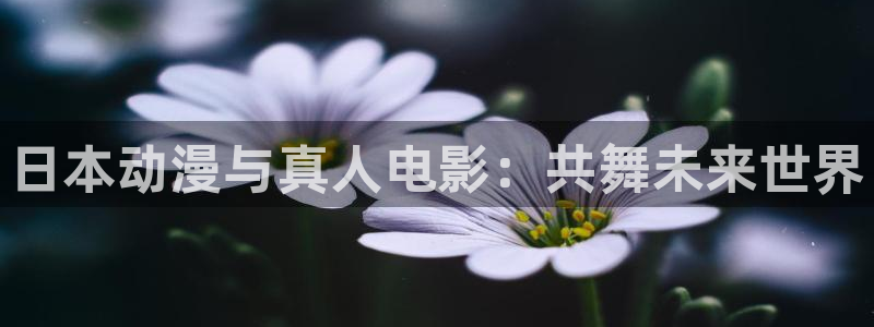 囧次元下载官网