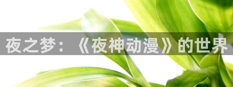 免费下载囧次元app
