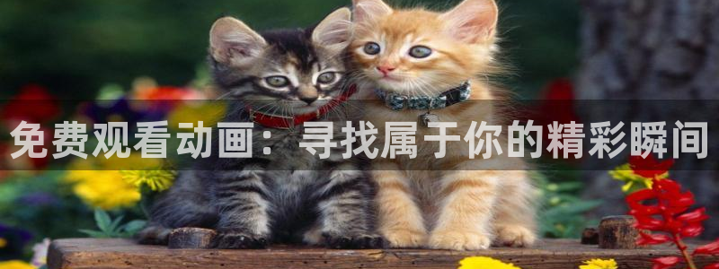 囧次元正版官方下载