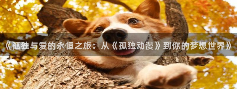 囧次元在线官网入口