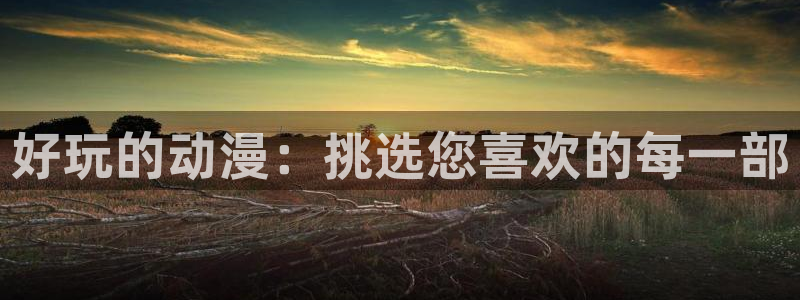 囧次元无