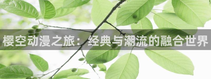 囧次元怎么登录