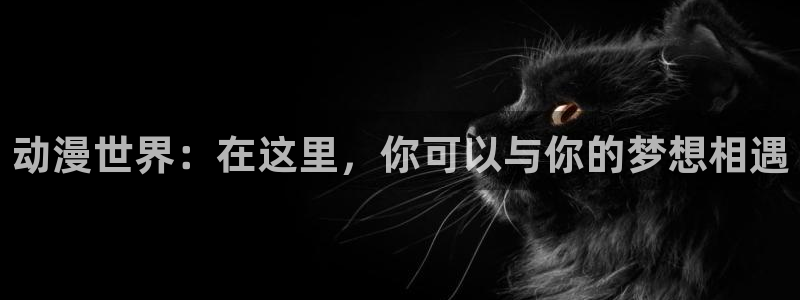 免费下载囧次元
