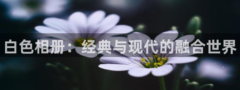 囧次元官网入口