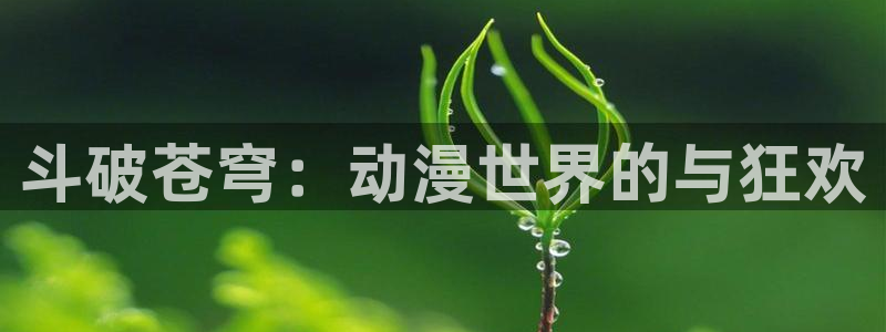 囧次元下载正版下载