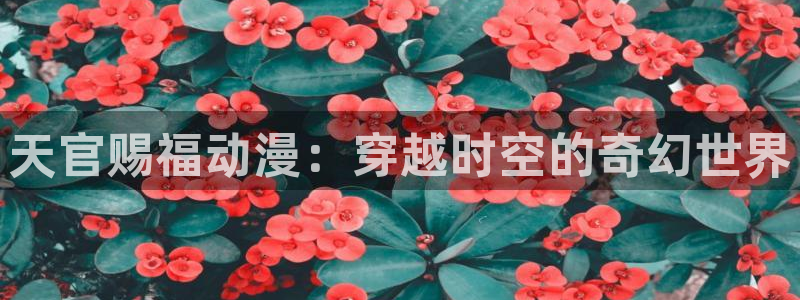 囧次元app最新版