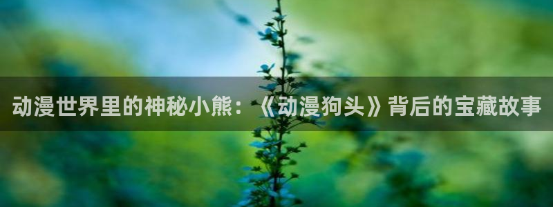 囧次元免费版：动漫世界里的神秘小熊：《动漫狗头》背后的宝藏故事