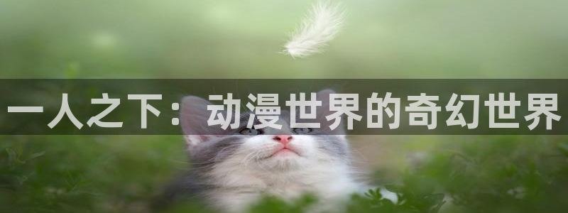 囧次元app下载官网版安卓：一人之下：动漫世界的奇幻世界