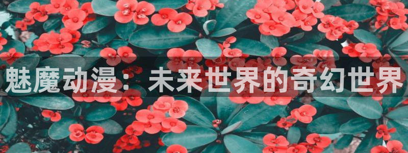 囧次元动漫官网入口观看：魅魔动漫：未来世界的奇幻世界