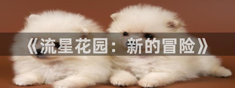 囧次元网页版：《流星花园：新的冒险》