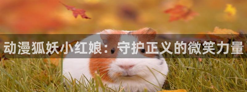 囧次元动漫：动漫狐妖小红娘：守护正义的微笑力量