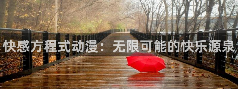 囧次元看动漫