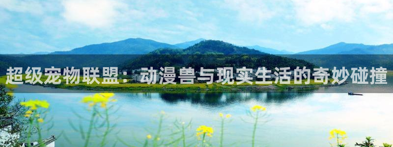 囧次元正版入口