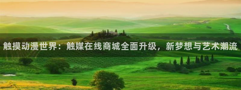 囧次元的官方网站