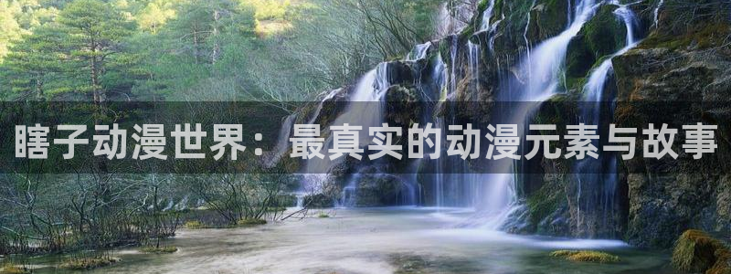 囧次元下载正版下载