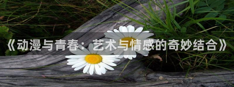囧次元app官方下载