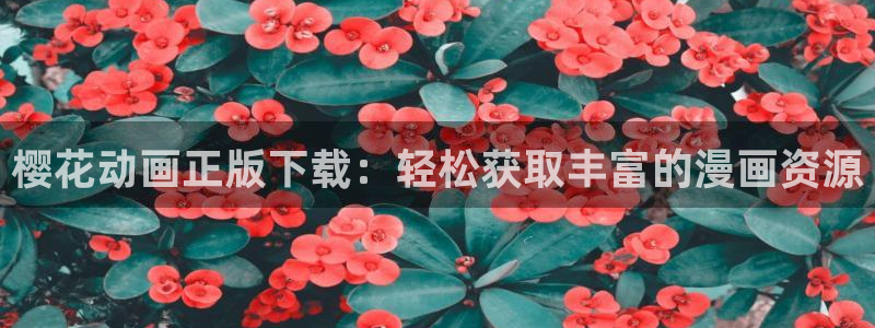囧次元app免费下载