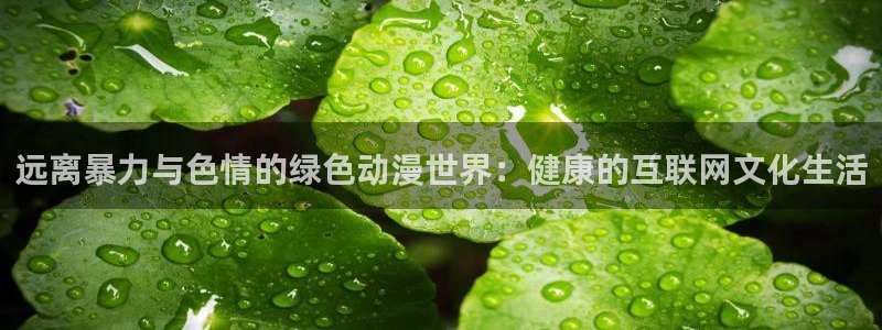 囧次元app下载官网版