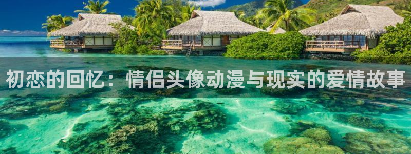 囧次元正版app下载网址