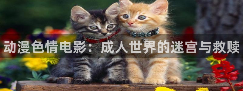 囧次元在线看