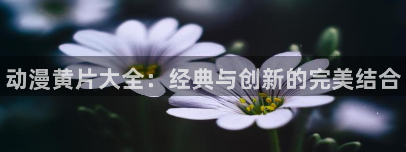 囧次元下载网站