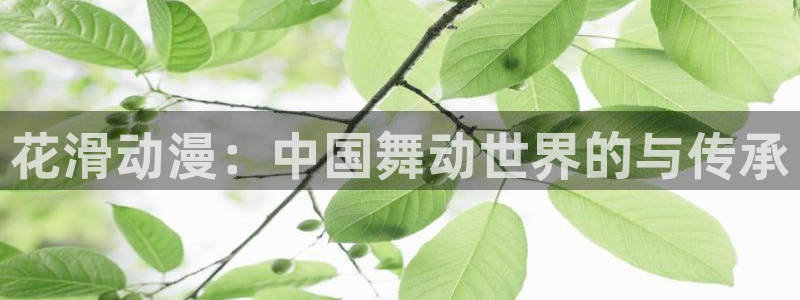 囧次元官网最新下载：花滑动漫：中国舞动世界的与传承