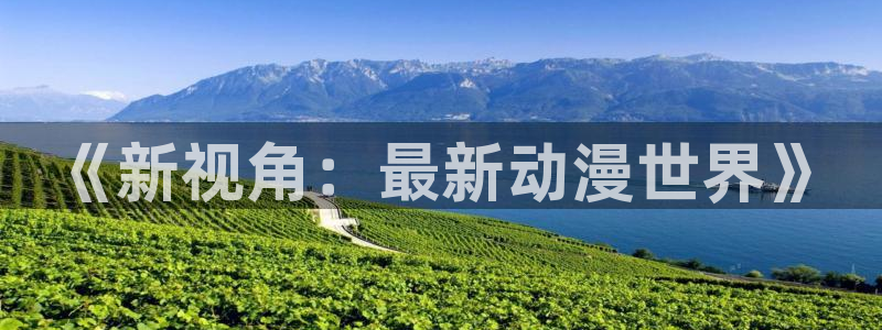 囧次元官网入口网址：《新视角：最新动漫世界》