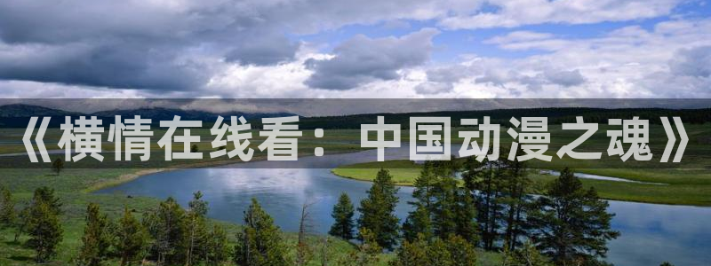 jcy.囧次元官网：《横情在线看：中国动漫之魂》