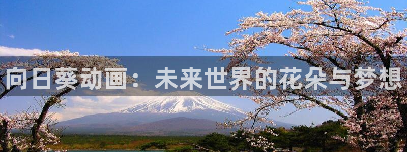 囧次元官方入口：向日葵动画：未来世界的花朵与梦想