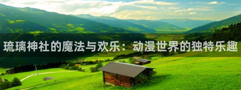 囧次元官方网：琉璃神社的魔法与欢乐：动漫世界的独特乐趣