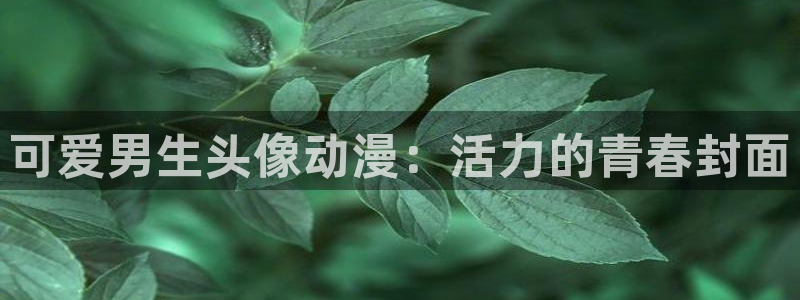最新版囧次元app下载：可爱男生头像动漫：活力的青春封面