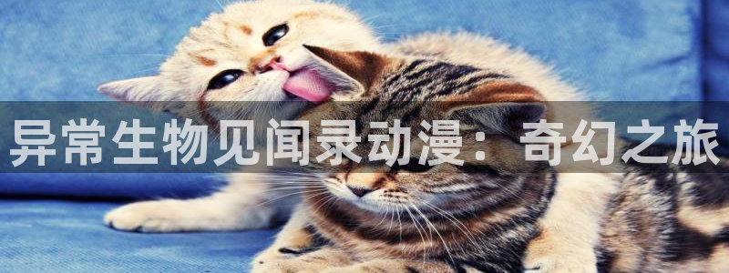 囧次元最新版下载：异常生物见闻录动漫：奇幻之旅