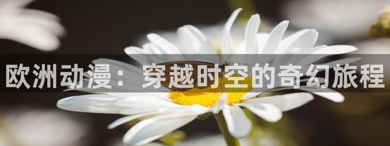 囧次元正版app下载网址：欧洲动漫：穿越时空的奇幻旅程