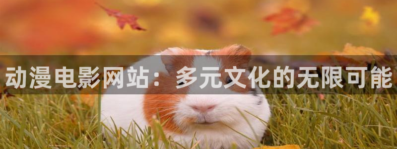 囧次元官方入口下载：动漫电影网站：多元文化的无限可能