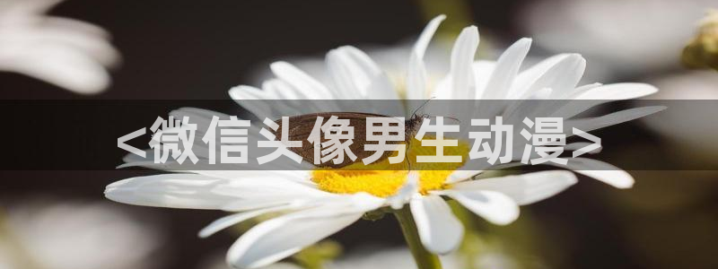 囧次元官网：<微信头像男生动漫>