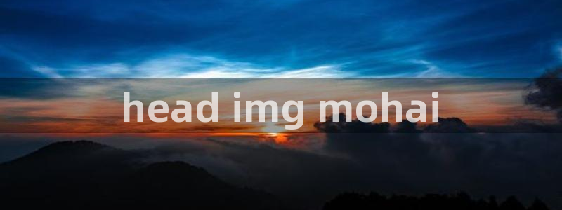 正版囧次元：head img mohai