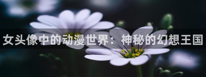 囧次元官网入口网址：女头像中的动漫世界：神秘的幻想王国