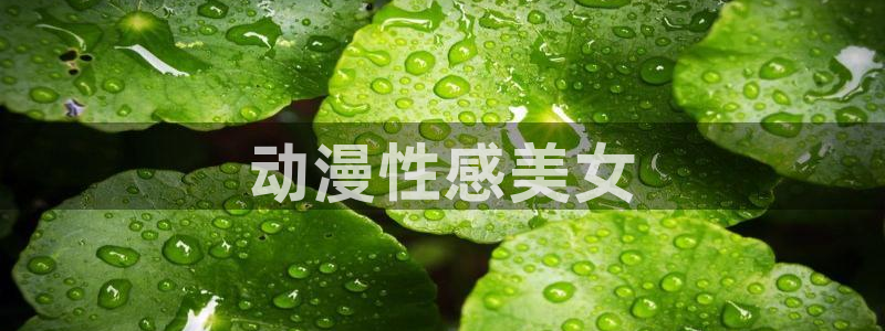 囧次元官方正版app下载最新版本：动漫性感美女