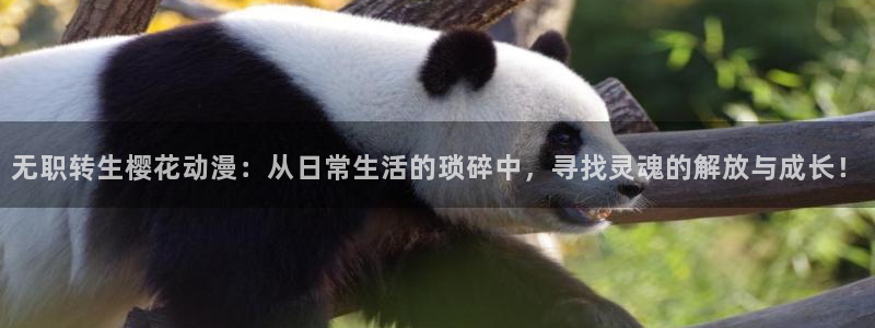囧次元最新下载链接：无职转生樱花动漫：从日常生活的琐碎中，寻找灵魂的解放与成长！