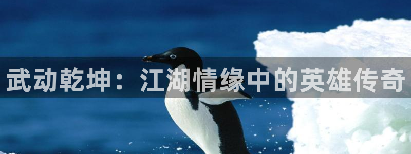 囧次元在线：武动乾坤：江湖情缘中的英雄传奇