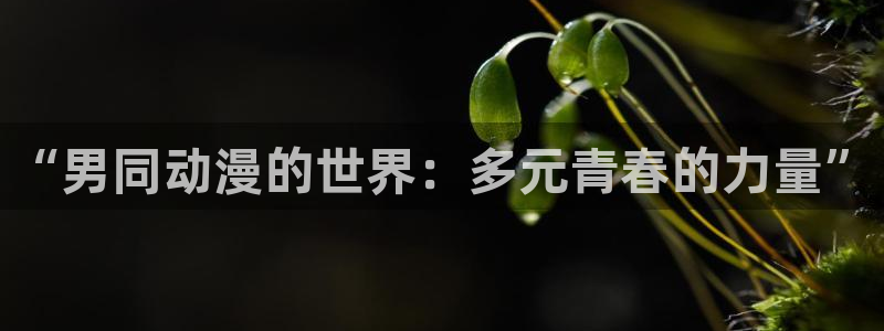 囧次元官方正版下载入口：“男同动漫的世界：多元青春的力量”