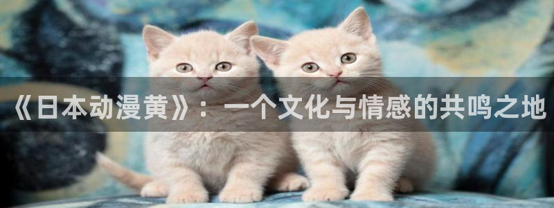囧次元官方网站入口安卓版：《日本动漫黄》：一个文化与情感的共鸣之地