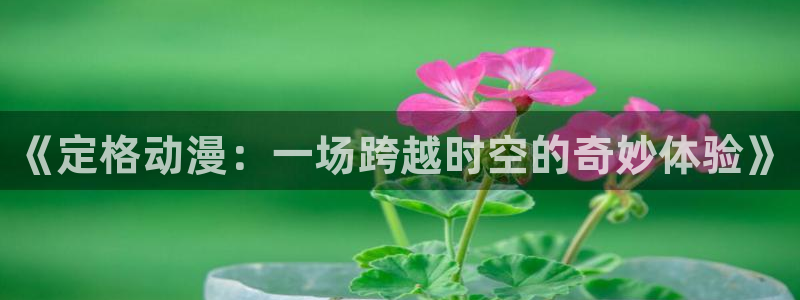囧次元官方网页版入口：《定格动漫：一场跨越时空的奇妙体验》