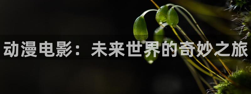囧次元网页版入口：动漫电影：未来世界的奇妙之旅
